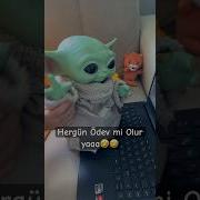 Ödevler Yapıldı Mı Funny Eğlence Funnyvideo Comedy ödev Grogu Shorts