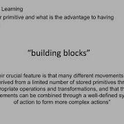 What Are Motor Primitives