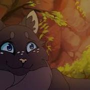 Into The Unknown Warriors Cinderpelt MAP Part 6