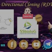 Directional Cloning Using Recombinant DNA Technology