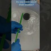 Do You Know About Drain Snakes Clogged Drain Tip From A Cleaning Pro