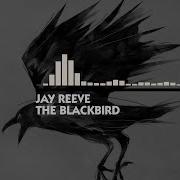 Jay Reeve The Blackbird