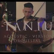 David Guetta Titanium Ft Sia Acoustic Version Guitar Violin Cello Orquestal Cover