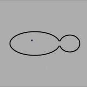 Simulating Stochastic Reaction Diffusion Systems On And Within Moving Boundaries
