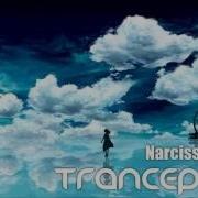 Tranception Narcissistic Love