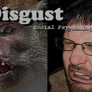 Origins Of Disgust Social Psychology