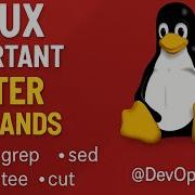 Linux Filter Commands Tutorial Awk Grep Sed Cut Sort Examples Why Filter Commands In Linux