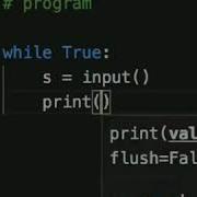 A Combination Of Input And Print In The Infinite Loop Gives You A Program Python Programming