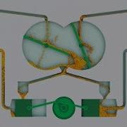Particle Fluid Pistons Simulation 04