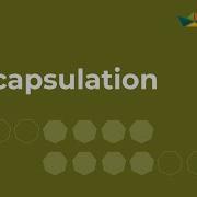 Encapsulation ICSE Computer Applications Java BlueJ