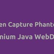 Screen Capture Using PhantomJS Selenium Java