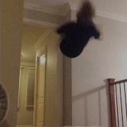 Flipping Around