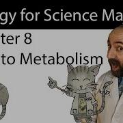 Chapter 8 Introduction To Metabolism