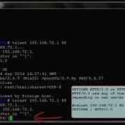 Web HTTP Method Using Telnet