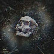 Uicideboy и BONES