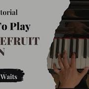 Grapefruit Moon Tom Waits Piano Tutorial Viewer Request