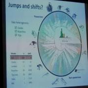 Cooney 3D Morphometrics And The Evolution Of Avian Bill Morphology