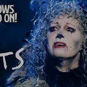 Memory Elaine Paige Cats The Musical