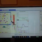 Rates Of Reaction Simulation