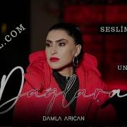 Damla Arıcan Dağlara