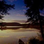 Take Me Away 4 Strings Re Ward Remix