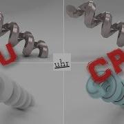 Maya GPU And CPU Render Tests Arnold