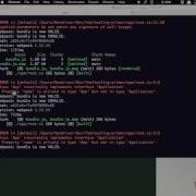 Using A Build System Building Web Applications In Angular 2