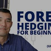 Forex Hedging For Absolute Beginners Start With Zero Experience