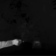 Bechstein S Bat Release Captured Using Thermal Imaging