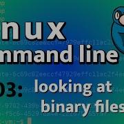 LCL 03 просмотр двоичных файлов с помощью Xxd и File руководство по использованию командной с