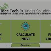 RICE CROP YIELD ANALYSIS USING IMAGE STITCHING AND MACHINE LEARNING