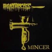 Agathocles Empty Frame