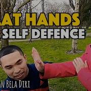 Silat Hands For Self Defence