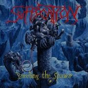 02 Breeding The Spawn Suffocation HQ 320k