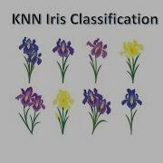 KNN Classification Of Iris Flower Dataset Using Scikit Learn Python