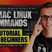 Наиболее популярные команды терминала Linux Mac для начинающих