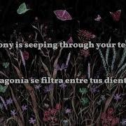 Inuday The Rot Rot Lyrics Sub Español