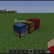 Blaze The Sorting Turtle Eden Fisher