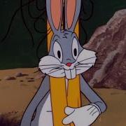 Long Haired Hare 1 3