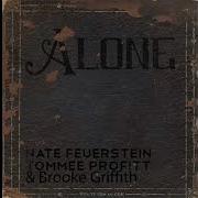NF Alone Feat Tommee Profitt And Brooke Griffith
