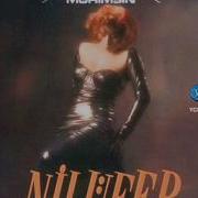 Nilüfer İnkar Etme 1990