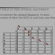 Sequence Alignment And Dynamic Programing By Apurva Jain