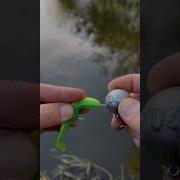 Рыбалка на щуку джиг головки Fishing