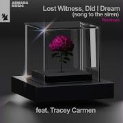 Did I Dream Song To The Siren Mininmalistix Extended Remix
