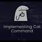 Build Your Own CAT Command From Scratch In C Assembly Step By Step