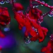 Easy Access Orchestra I Ll Take You There HD
