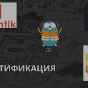 Authentik и Basic Http аутентификация