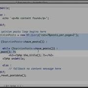 WordPress Custom Loop WP Query Tutorial 2019