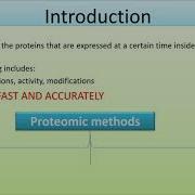 Protein Microarray