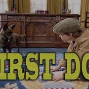 First Dog Official Trailer